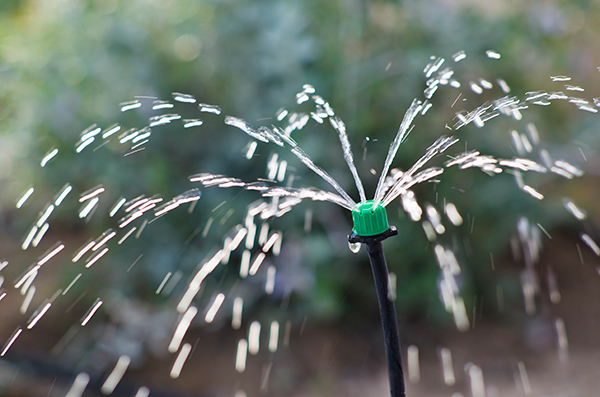 Drip irrigation can save you money if done well