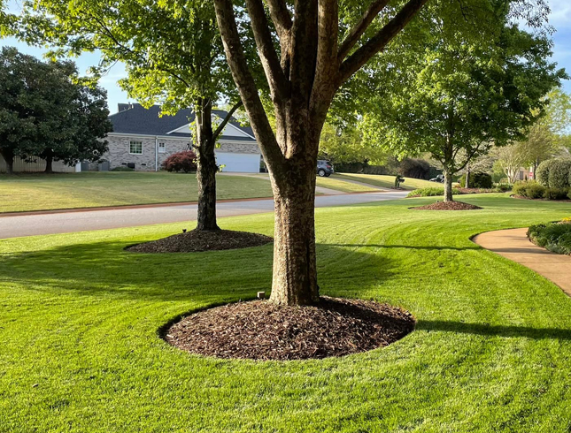 home-services-img